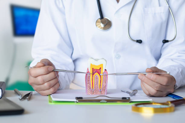 Best Emergency Root Canal Treatment in Collierville, TN